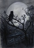 by Marja-Leena Pihlajamaki