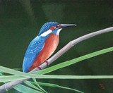 by Ton van Meerendonk