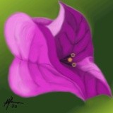 by Maria Anna Machado