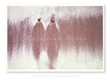 by Madeleine Weber