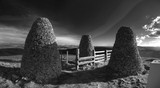 by Ranald Dods