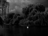 by Dorian Stretton