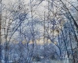 by Richard Montemurro