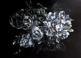 by marcella kaspar