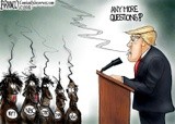 by A.F Branco