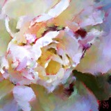 by Suzanne Clem-Wheeler