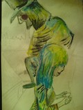 by swinee flu