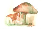 by Melissa Franklin