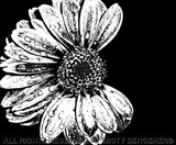 by Misty Bergener