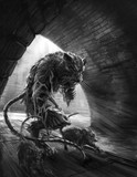 by Joe Shawcross