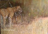 by Tharanga Herath
