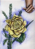 by Amy Brown