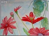 by Paula Maybery