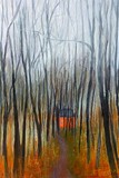 by Anna Beveridge