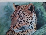 by Catriona Parker