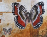 by Sean  Fitzgibbon
