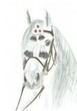 by Claudia Luethi alias Abdelghafar