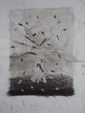 by Alana Monet-Telfer
