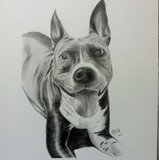 by Nicole Fernandes