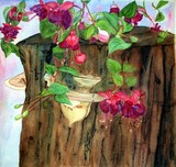 by Jo Ann Fahlman