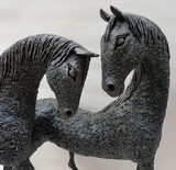 by Alexandra Shorey 