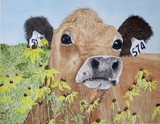 by Cat Shrewsbury