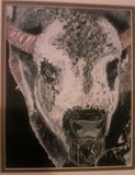 by Dana Condel
