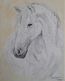 by Dawn Moir-Harris