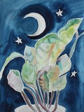by megan memsoup whitehead