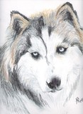 by Autumn Longwell