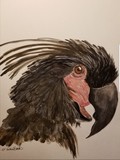 by Melanie  Smith