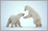 by Harry Eggens