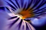 by Lisa Marie Maupassant 