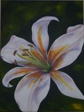 by megan horachek