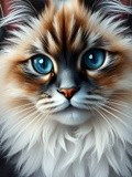by Mihaela B
