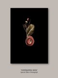 by Brenda  Garacci