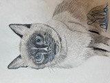 by Ariella Belau