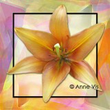 by Anne Vis