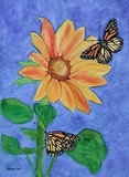 by Nancy Woolweber