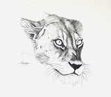 by DebraAnn Kasimakis