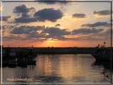 by Nira Dabush
