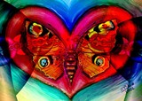 by Nira Dabush