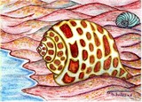 by Dawn Thibodeaux