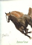 by The Black Stallion