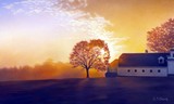 by Tom Sierak