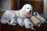 by Anna Trubnikov