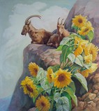by Svitozar Nenyuk