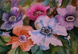 by Sally  Kelly