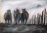 by Terri Walker