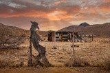 by Alex Preiss